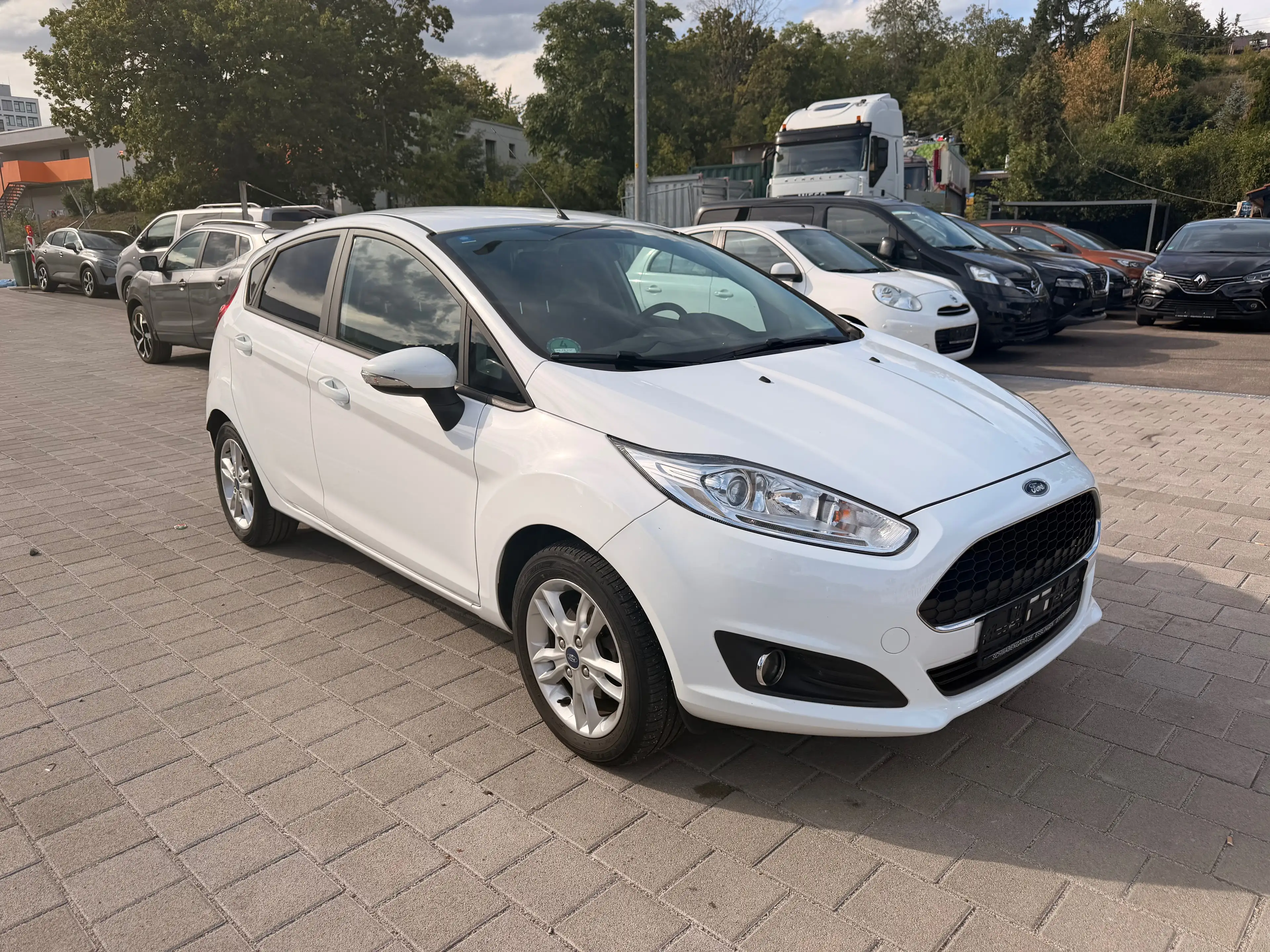 Ford Fiesta Celebration — photo 3