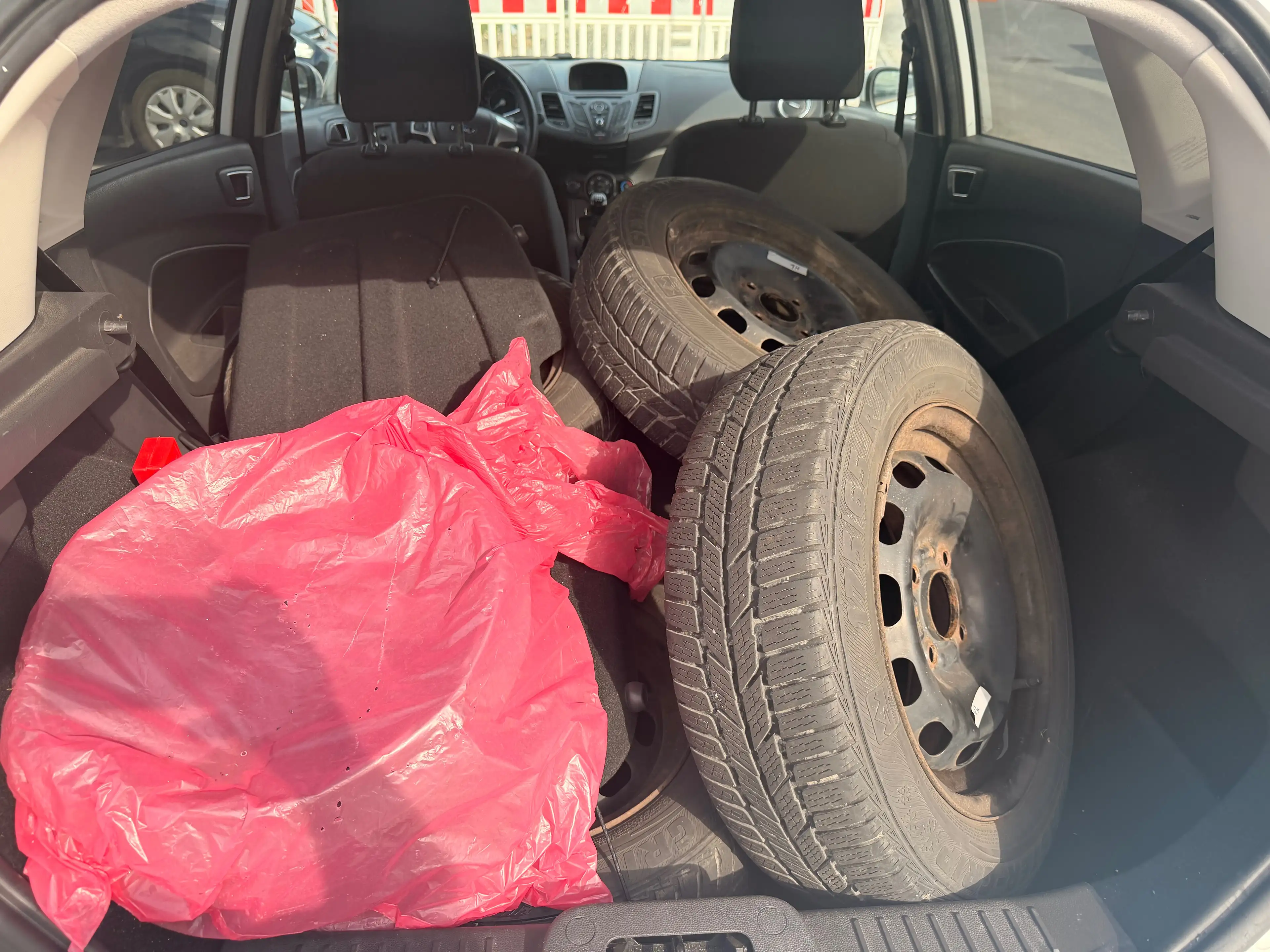 Ford Fiesta Celebration — photo 14