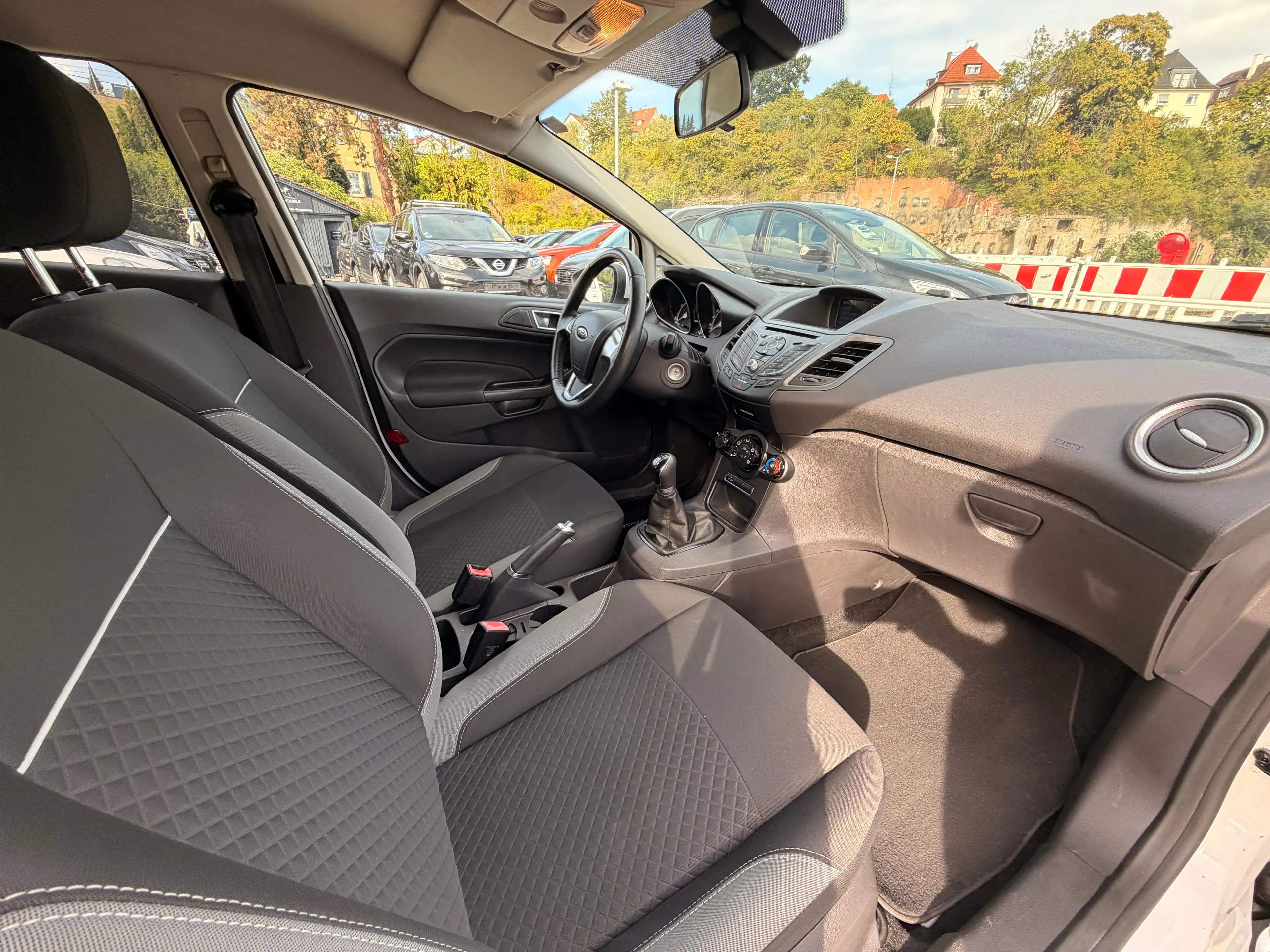 Ford Fiesta Celebration — photo 9