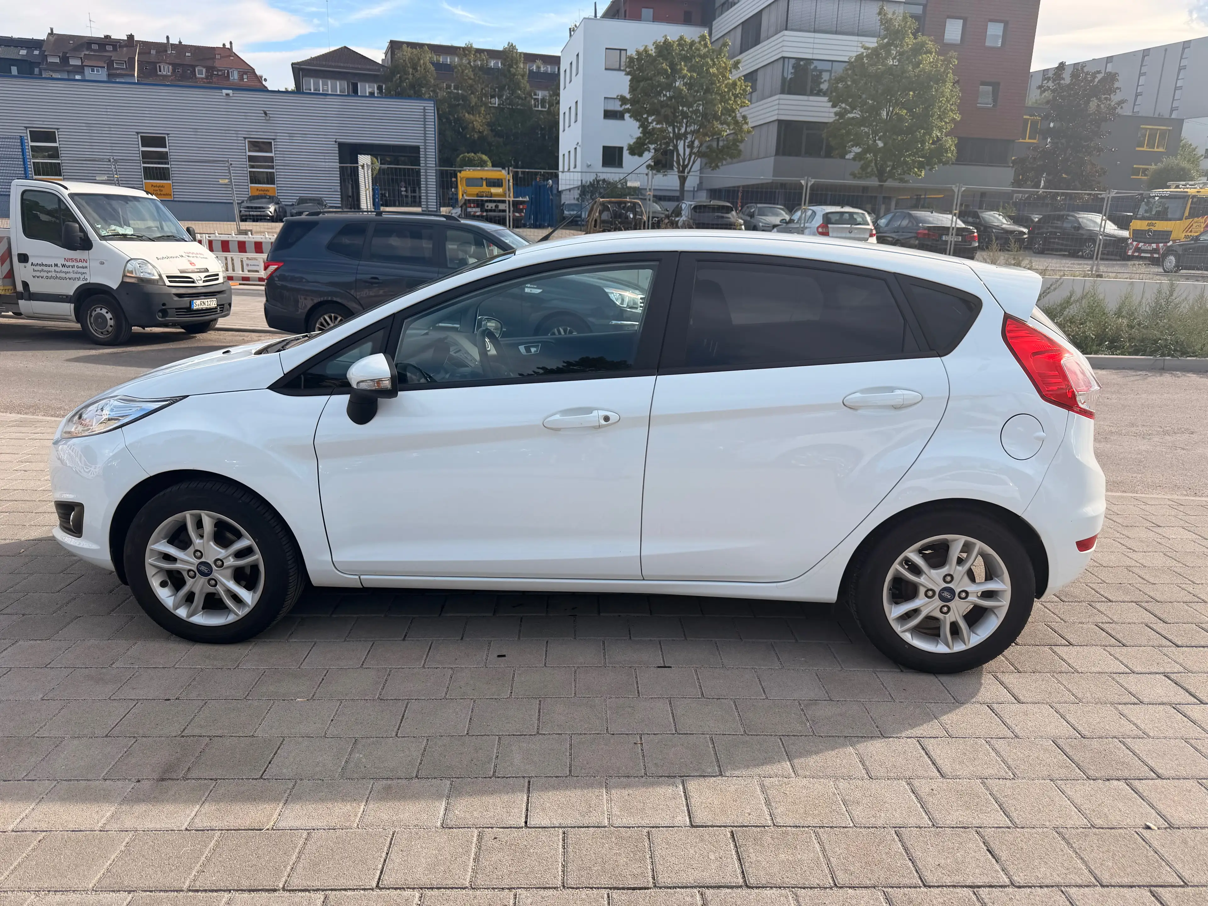 Ford Fiesta Celebration — photo 5