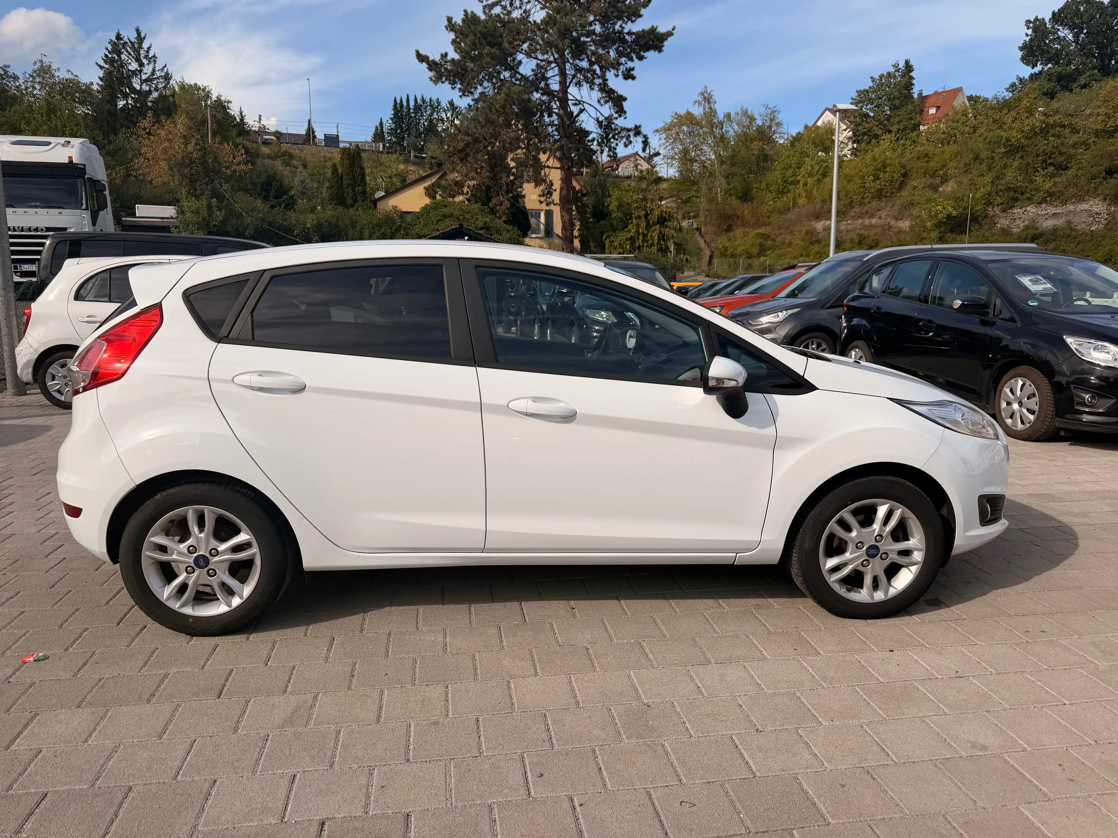 Ford Fiesta Celebration — photo 4