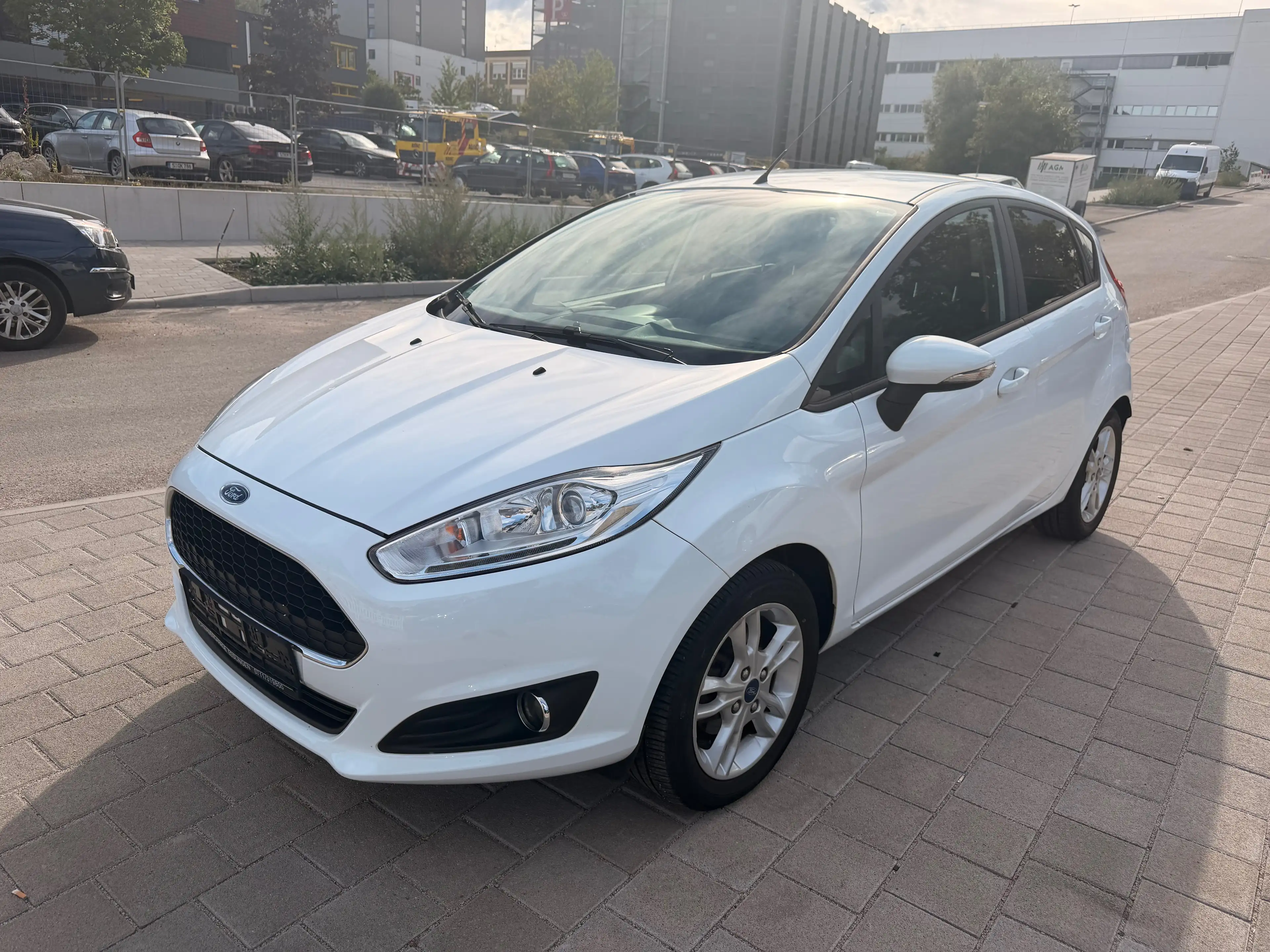 Ford Fiesta Celebration — photo 2