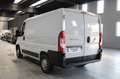 Fiat Ducato 28 2.3 MJT 120CV PC-TN Furgone Blanc - thumbnail 7