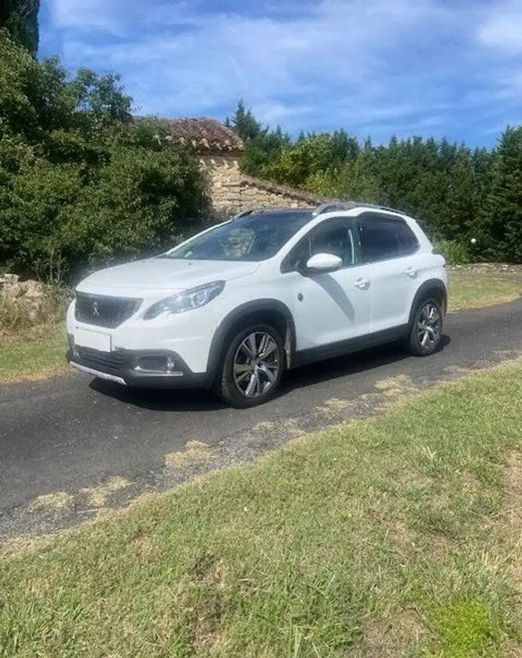 Peugeot 2008 active business 100 CV