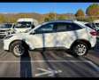 Ford Kuga 1.5 EcoBlue Titanium Blanc - thumbnail 8