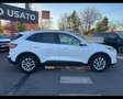 Ford Kuga 1.5 EcoBlue Titanium Blanc - thumbnail 4
