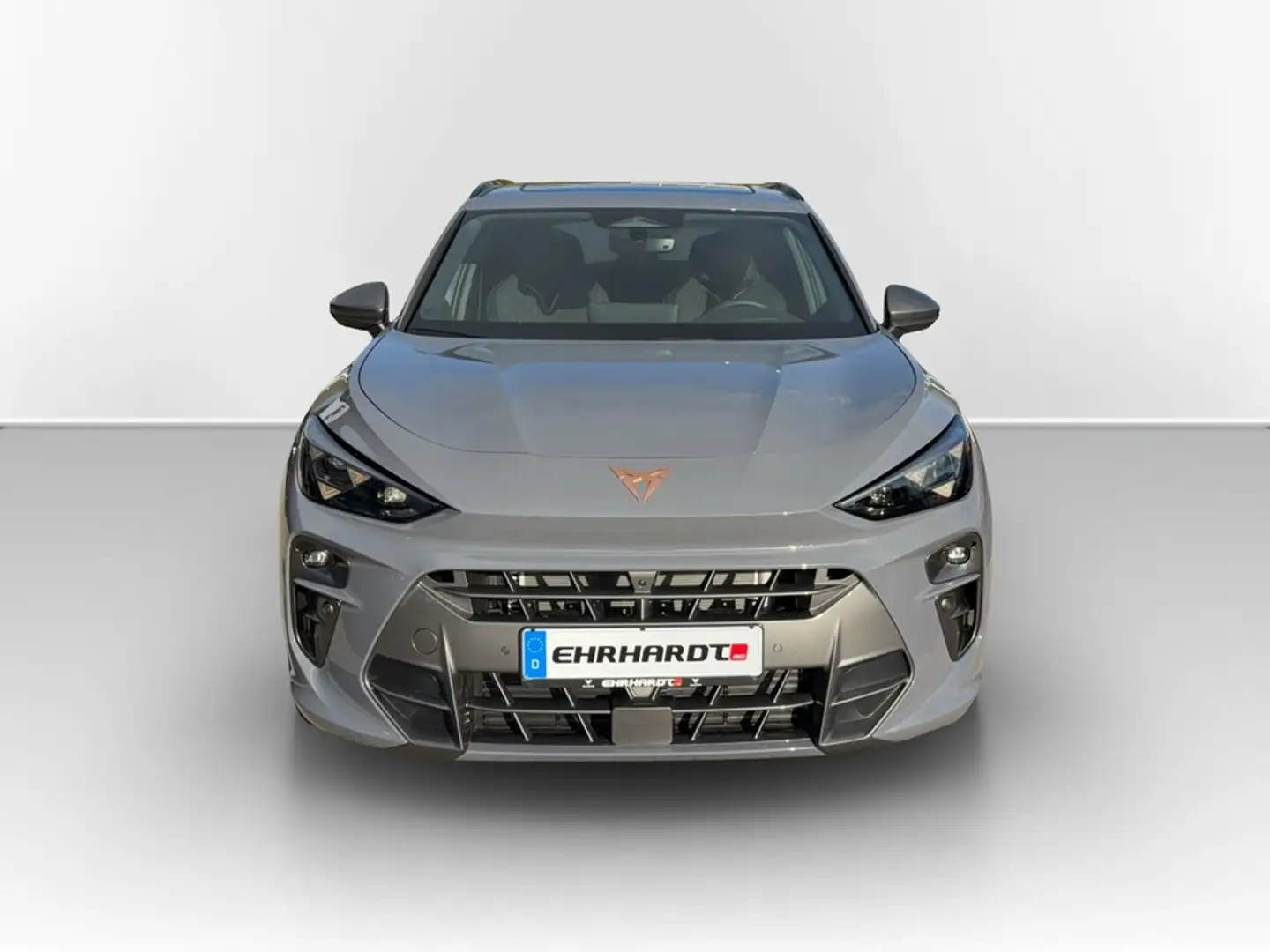 SEAT Terra mar VZ 2.0 TSI 7-Gang DSG 4Drive VZ COPPER DCC ... Grau - 2