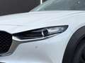 Mazda CX-30 2.5L e-SKYACTIV G 140ps 6MT 2WD HOMURA Weiß - thumbnail 5