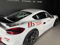 Porsche Cayman (981) 3.8 420CH GT4 CLUBSPORT MANTHEY RACING Blanco - thumbnail 6