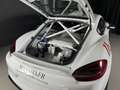 Porsche Cayman (981) 3.8 420CH GT4 CLUBSPORT MANTHEY RACING Blanco - thumbnail 8