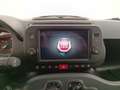 Fiat Panda Panda III 2021 Cross Panda 1.0 firefly hybrid Cro Bianco - thumbnail 15