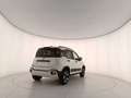 Fiat Panda Panda III 2021 Cross Panda 1.0 firefly hybrid Cro Bianco - thumbnail 6