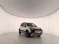 Fiat Panda Panda III 2021 Cross Panda 1.0 firefly hybrid Cro Bianco - thumbnail 3