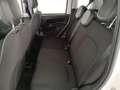 Fiat Panda Panda III 2021 Cross Panda 1.0 firefly hybrid Cro Bianco - thumbnail 12