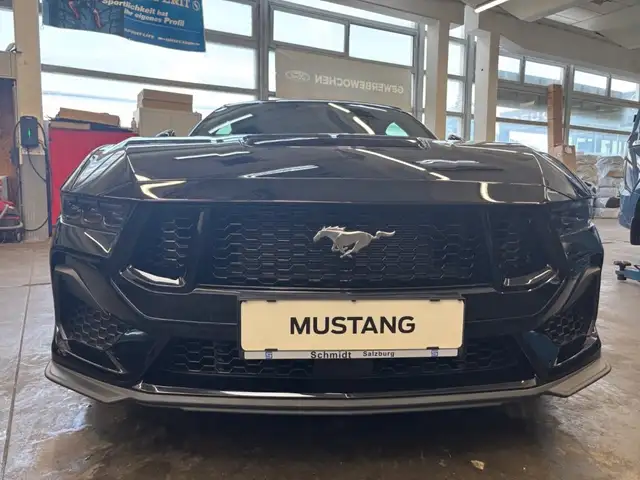Ford Mustang GT Convertible 5,0L V8 446PS M RWD Ansicht 17