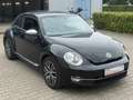 Volkswagen Beetle Lim. Allstar BMT Garantie* Navi* TOP* Black - thumbnail 4