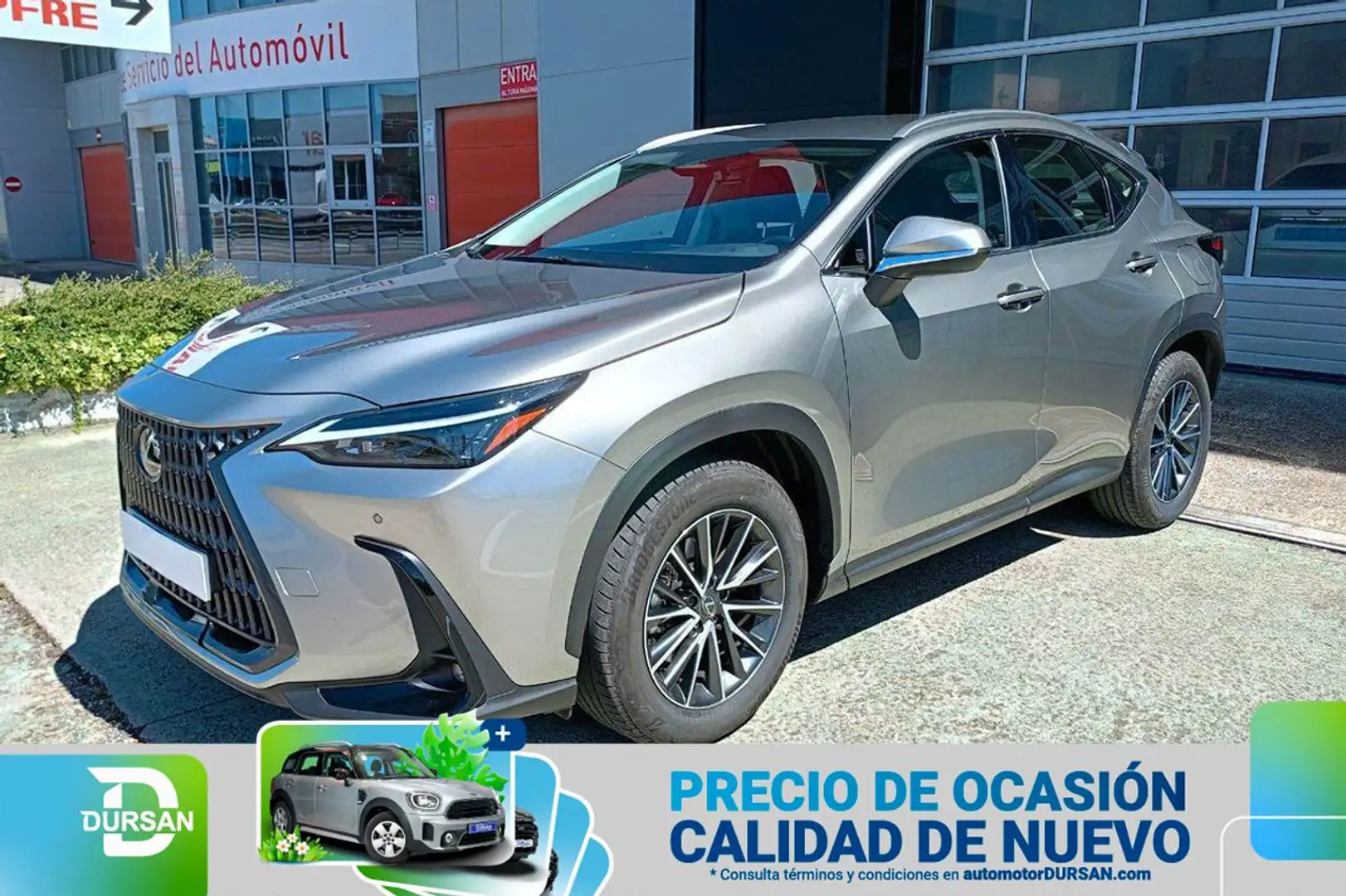 Lexus NX 350h Premium 2WD Gris - 1