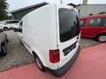 Volkswagen Caddy Kastenwagen 2,0 TDI *1.BESITZ*PICKERL NEU*KLIMA* Weiß - thumbnail 3