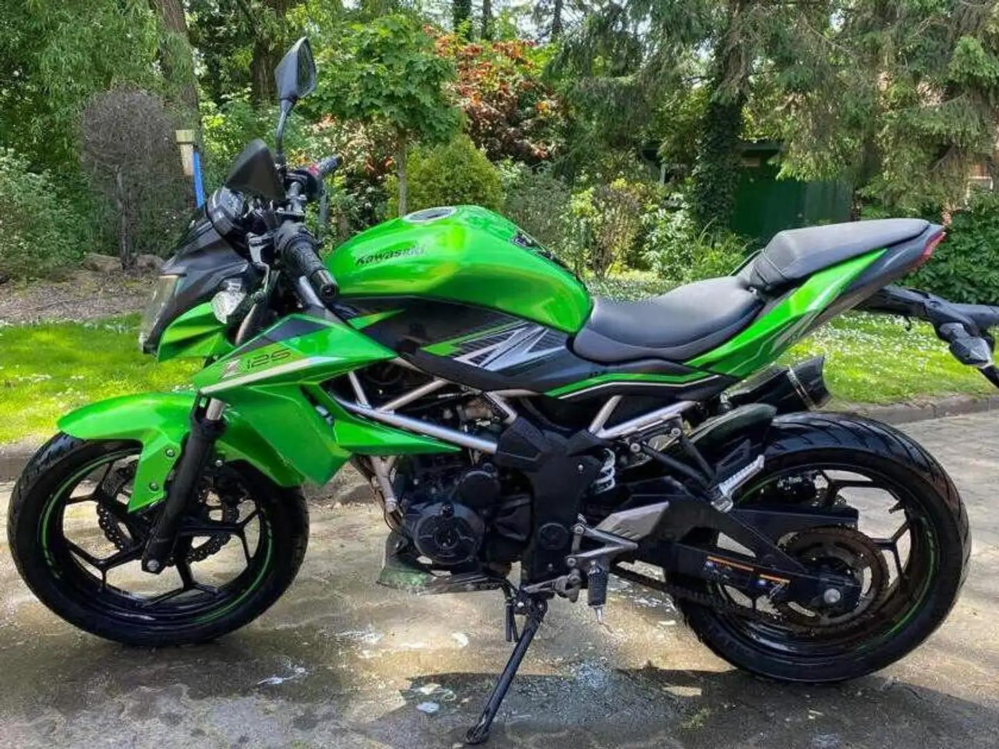 Kawasaki Z 125 Vert - 2