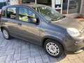Fiat Panda Panda III 2021 1.0 firefly hybrid City Life s Grigio - thumbnail 2
