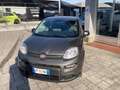 Fiat Panda Panda III 2021 1.0 firefly hybrid City Life s Grigio - thumbnail 1