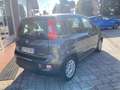 Fiat Panda Panda III 2021 1.0 firefly hybrid City Life s Gris - thumbnail 6