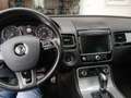 Volkswagen Touareg Touareg V6 TDI R-Line, 3000 ccm Weiß - thumbnail 4