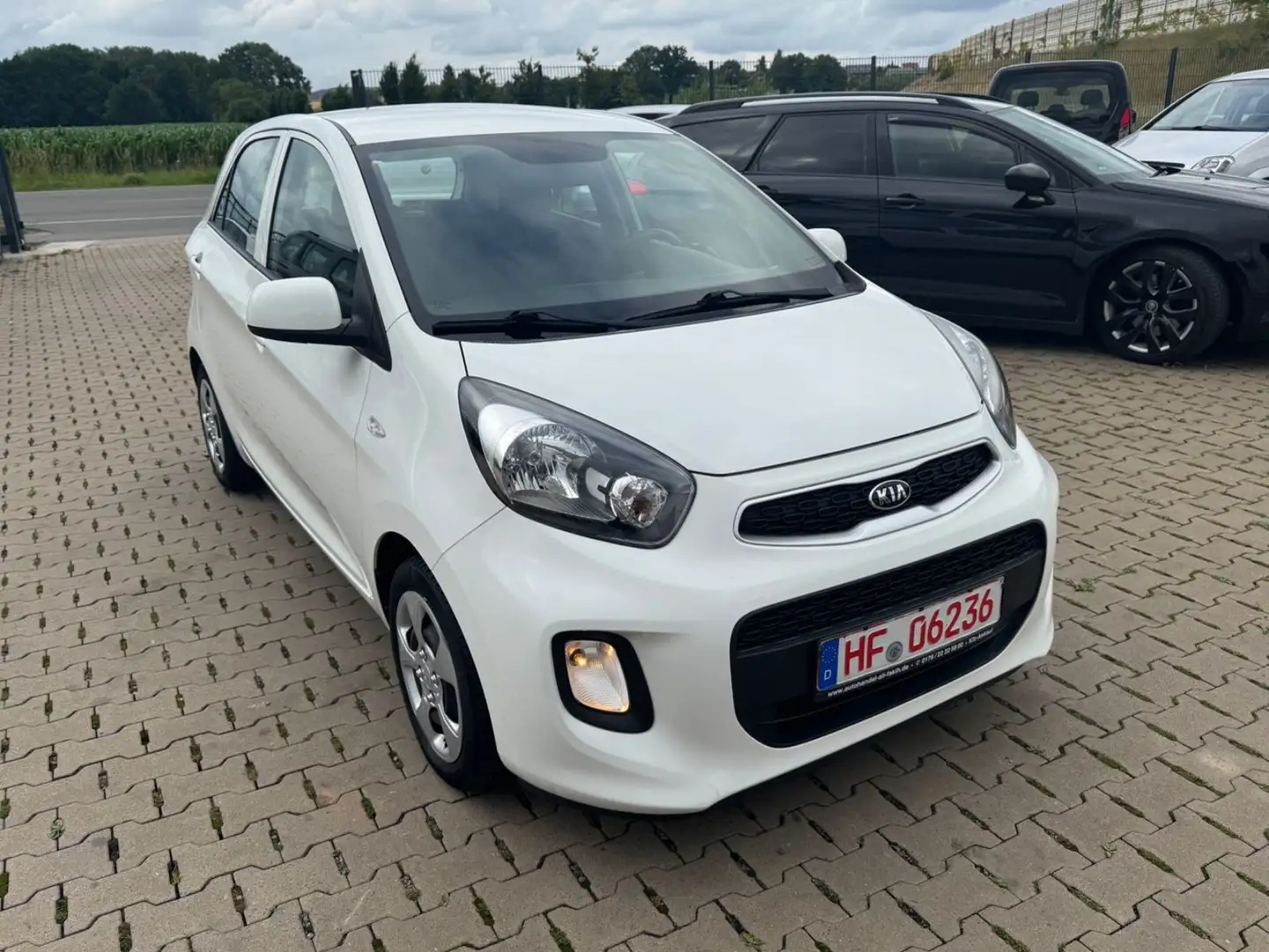 Kia Picanto Sensation 2.Hand Klima Weiß - 2