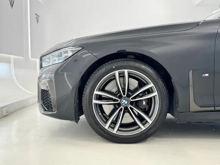 BMW Serie 7 740d xDrive (G11) 2022, foto 8