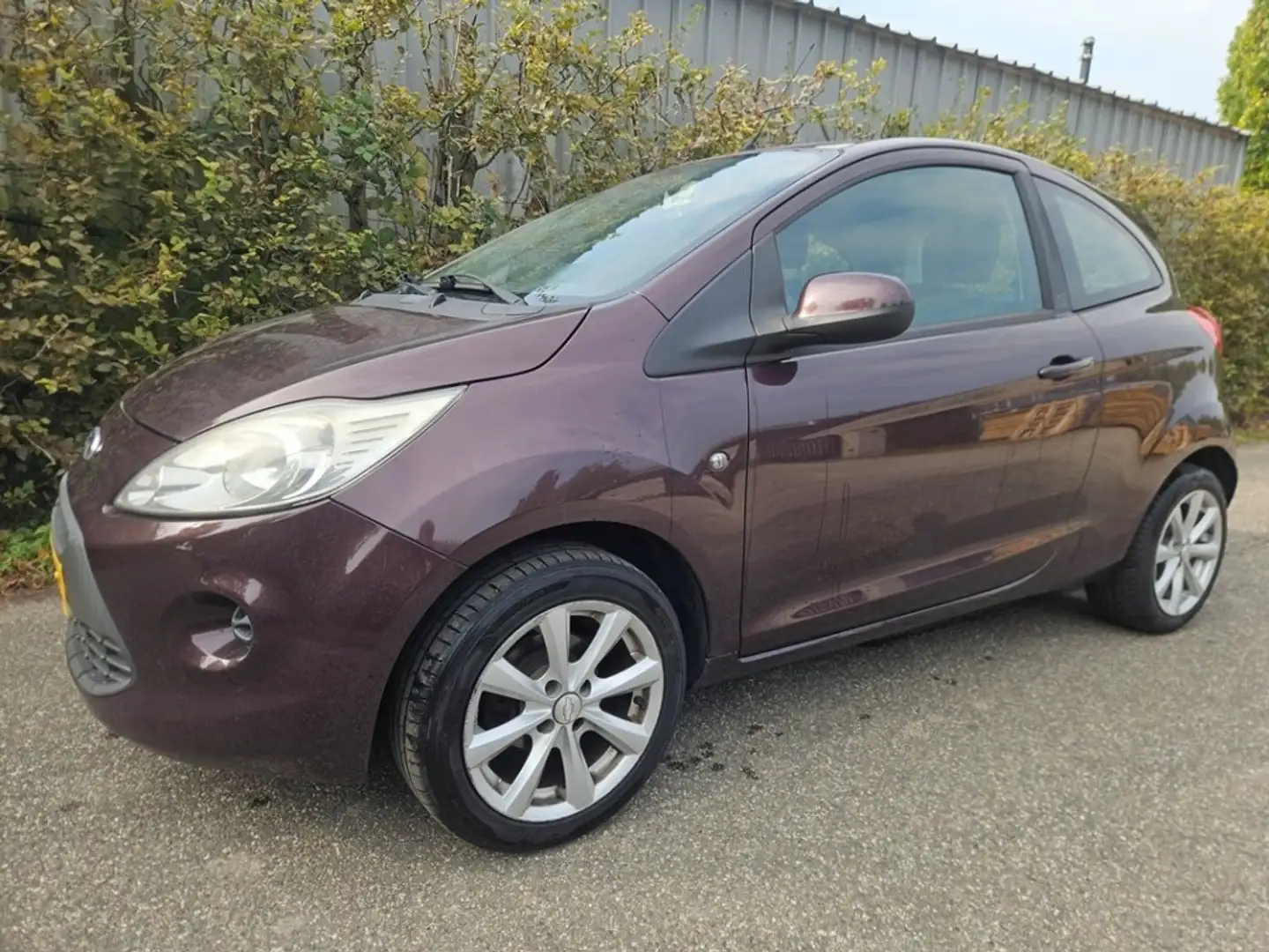 Ford Ka/Ka+ - Mauve - 1