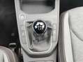 SEAT Ibiza 1.0 TSI 115CV Special Edition Xcellence Rojo - thumbnail 12