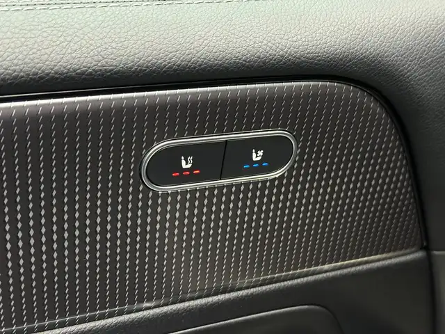 Mercedes-Benz 220 view 10