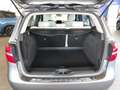 Mercedes-Benz B 200 d Sport 4Matic Auto Navi Cruise FariLED 17" Gri - thumbnail 40