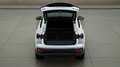 Audi Q4 e-tron Sportback 55 quattro S line Edition LM21 Matrix... Weiß - thumbnail 13