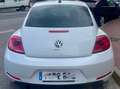 Volkswagen Beetle 1.4 TSI BMT Design 110kW Blanco - thumbnail 2