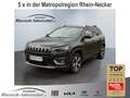 Jeep Cherokee Limited 2.2 MultiJet Park-Assistent Navi Soundsyst Grau - thumbnail 1