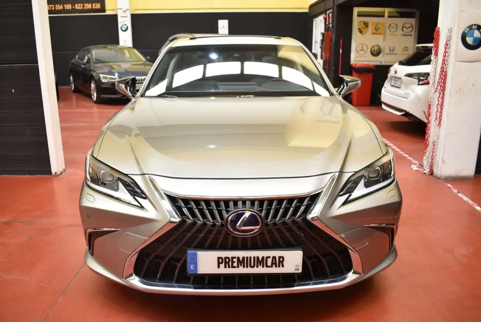 Lexus ES 300 300h Premium Beige - 2
