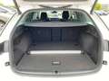 Skoda Octavia Combi 1.5 TSI DSG Selection Navi Weiß - thumbnail 10