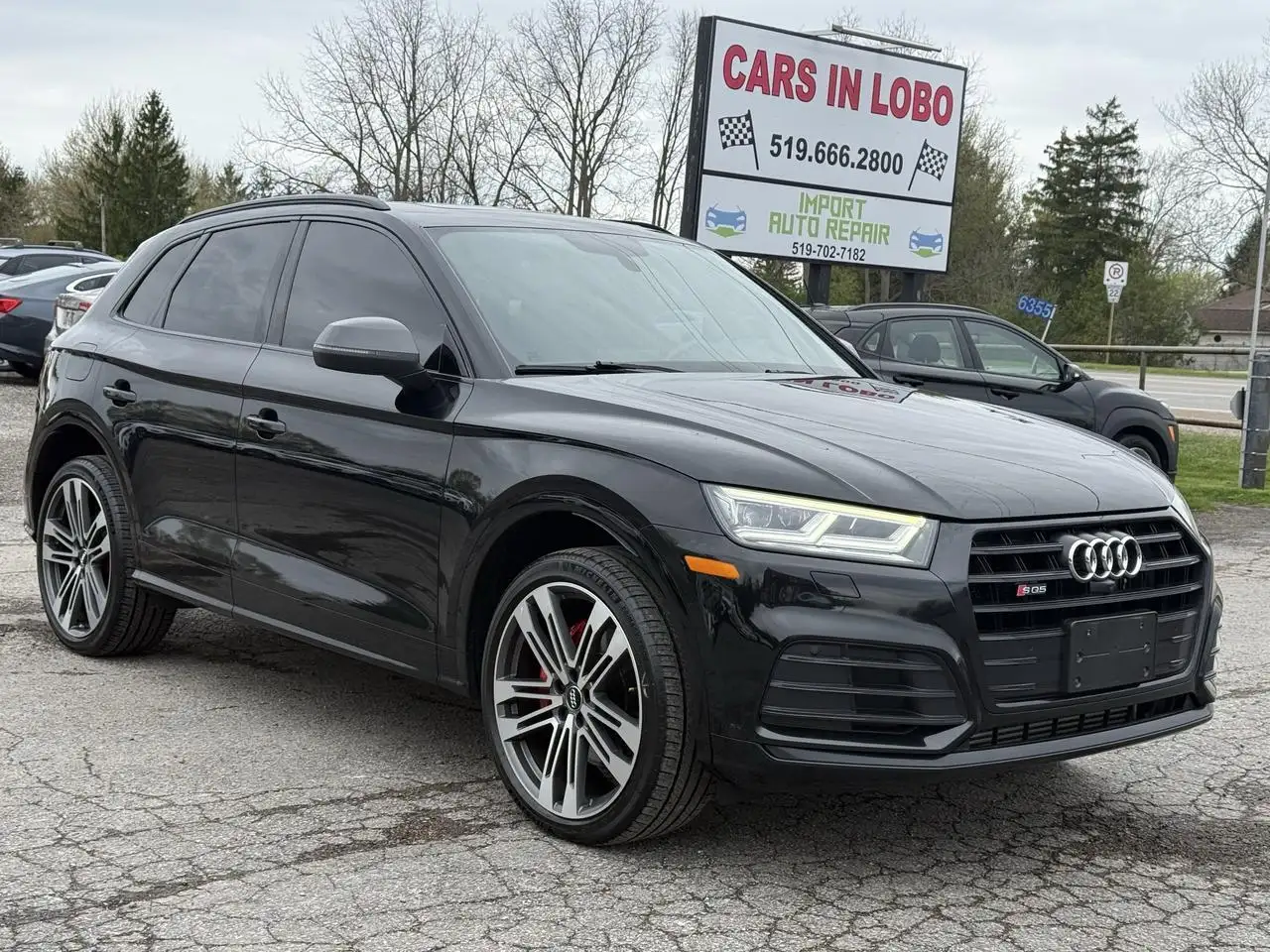 2019 Audi SQ5