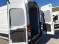 Ford Transit Kasten Trend 350L3H3 *EXPRESS-LINE-PAKET* Weiß - thumbnail 18