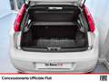 Fiat Punto 5p 1.4 easypower street gpl e6 Biały - thumbnail 13