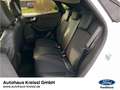 Ford Puma Titanium X 1.0 EcoBoost Mildhybrid Weiß - thumbnail 6