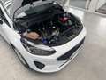 Ford Fiesta COOL+CONNECT KLIMA+LED+ALLWETTER+DAB+TÜV+ Blanc - thumbnail 14