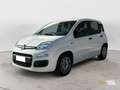 Fiat Panda Panda 1.2 City Cross - thumbnail 2
