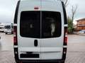 Fiat Talento Fiat Talento | 2 Posti Letto | Cucina Blanc - thumbnail 2