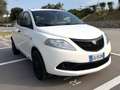 Lancia Ypsilon 1.2 69 CV 5 POSTI+TELEFONO+VOLANTE MULTIFUNZIONE Blanc - thumbnail 3