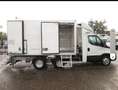 Iveco Daily Kühl-/Iso-/Frischdienst Weiß - thumbnail 8