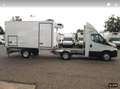 Iveco Daily Kühl-/Iso-/Frischdienst Weiß - thumbnail 13