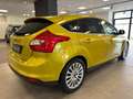 Ford Focus Focus III 2011 5p 1.6 tdci Titanium 115cv Oro - thumbnail 6