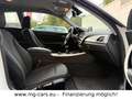 BMW 120 d~Advantage~Coupe~M-Lenkrad~Navi~Xenon~SHZ! Blanc - thumbnail 17